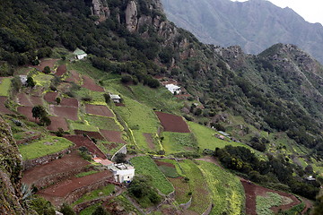 Image showing SPAIN CANARY ISLANDS TENERIFE