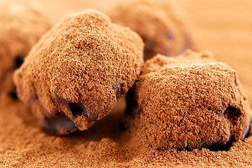 Image showing Chocolate truffles