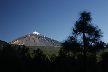 Image showing SPAIN CANARY ISLANDS TENERIFE