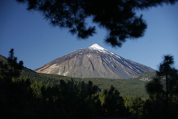 Image showing SPAIN CANARY ISLANDS TENERIFE