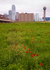 Image showing Dallas Texas City Skyline Metro Downtown Trinity River Wildflowe