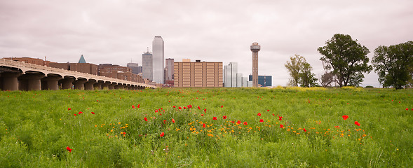 Image showing Dallas Texas City Skyline Metro Downtown Trinity River Wildflowe