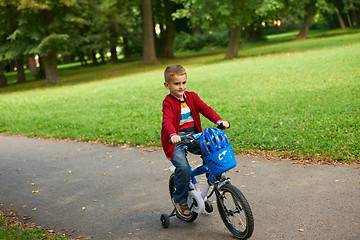 Image showing boy on the bicycle at Park