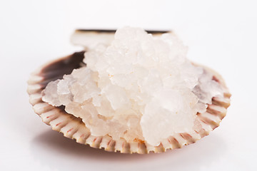 Image showing Water kefir grains