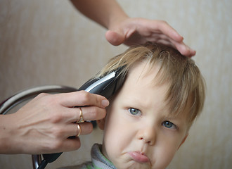 Image showing haircut