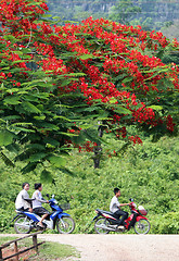 Image showing ASIA SOUTHEASTASIA LAOS KHAMMUAN REGION