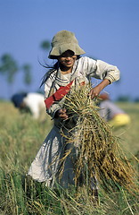 Image showing CAMBODIA 