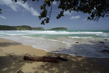 Image showing ASIA THAILAND PHUKET RAWAI 