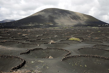 Image showing EUROPE CANARY ISLANDS LANZAROTE