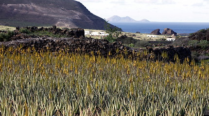 Image showing EUROPE CANARY ISLANDS LANZAROTE