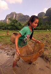 Image showing LAOS MAHAXAI MAI REISEN