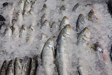 Image showing ASIA THAILAND PHUKET MARKT 