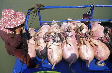 Image showing CAMBODIA 