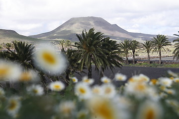 Image showing EUROPE CANARY ISLANDS LANZAROTE