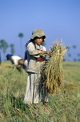 Image showing CAMBODIA 