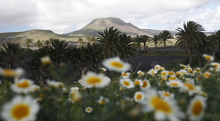 Image showing EUROPE CANARY ISLANDS LANZAROTE