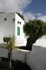 Image showing EUROPE CANARY ISLANDS LANZAROTE