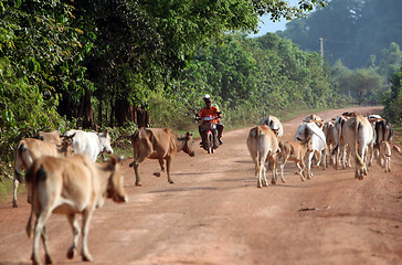 Image showing ASIA SOUTHEASTASIA LAOS KHAMMUAN REGION