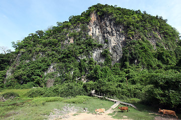 Image showing ASIA SOUTHEASTASIA LAOS KHAMMUAN REGION