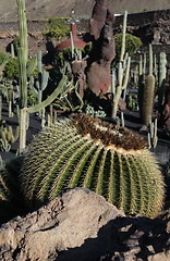 Image showing EUROPE CANARY ISLANDS LANZAROTE