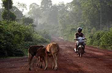 Image showing ASIA SOUTHEASTASIA LAOS KHAMMUAN REGION