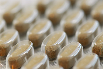 Image showing Herbal pills