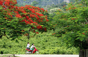 Image showing ASIA SOUTHEASTASIA LAOS KHAMMUAN REGION