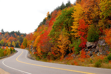 Image showing Fall highway