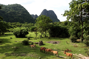 Image showing ASIA SOUTHEASTASIA LAOS KHAMMUAN REGION