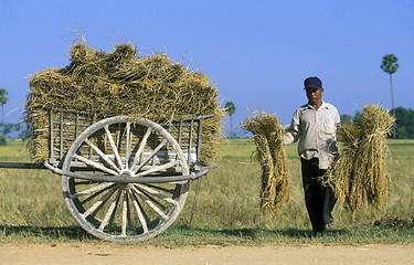 Image showing CAMBODIA 