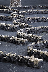 Image showing EUROPE CANARY ISLANDS LANZAROTE