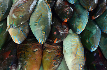 Image showing ASIA THAILAND PHUKET MARKT 