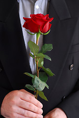 Image showing Man red rose