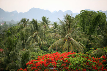 Image showing ASIA SOUTHEASTASIA LAOS KHAMMUAN REGION