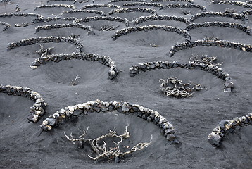 Image showing EUROPE CANARY ISLANDS LANZAROTE