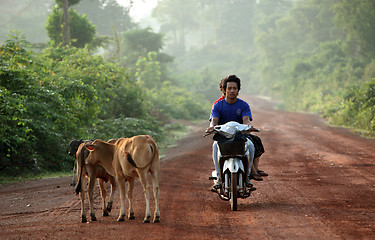 Image showing ASIA SOUTHEASTASIA LAOS KHAMMUAN REGION