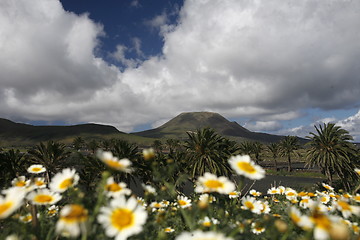 Image showing EUROPE CANARY ISLANDS LANZAROTE