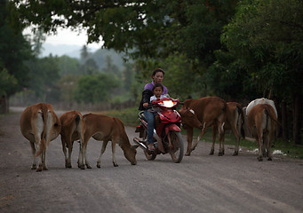 Image showing ASIA SOUTHEASTASIA LAOS KHAMMUAN REGION