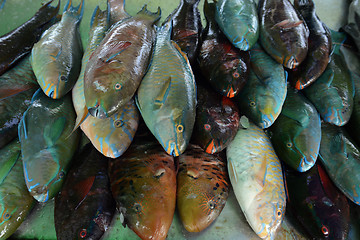 Image showing ASIA THAILAND PHUKET MARKT 