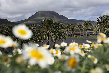 Image showing EUROPE CANARY ISLANDS LANZAROTE