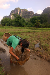 Image showing ASIA SOUTHEASTASIA LAOS KHAMMUAN REGION