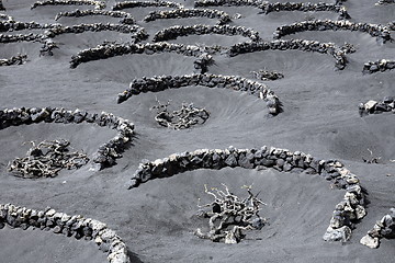 Image showing EUROPE CANARY ISLANDS LANZAROTE