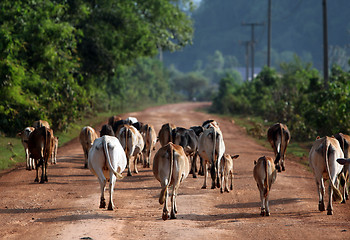 Image showing ASIA SOUTHEASTASIA LAOS KHAMMUAN REGION