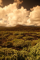 Image showing EUROPE CANARY ISLANDS LANZAROTE