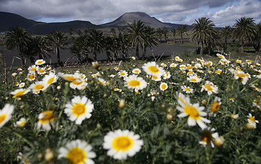 Image showing EUROPE CANARY ISLANDS LANZAROTE