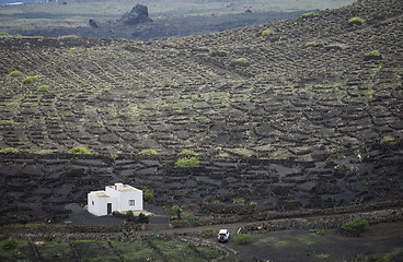 Image showing EUROPE CANARY ISLANDS LANZAROTE