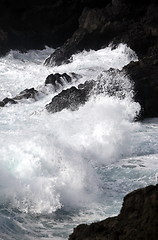 Image showing EUROPE CANARY ISLANDS LANZAROTE