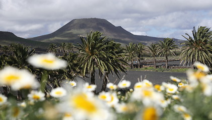 Image showing EUROPE CANARY ISLANDS LANZAROTE