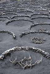 Image showing EUROPE CANARY ISLANDS LANZAROTE