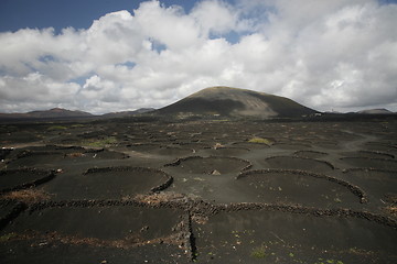 Image showing EUROPE CANARY ISLANDS LANZAROTE